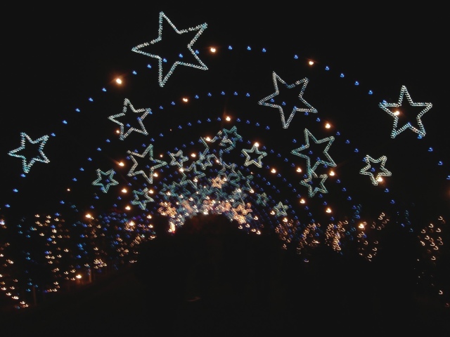 Hildebrand Christmas ScreenSaver/640x480_2005-12-22-49 Trail of Lights.jpg